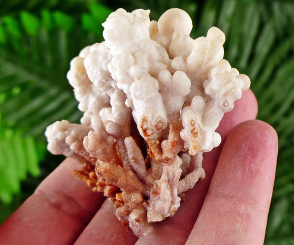 Amazing Aragonite Crystal, Raw Crystal, Natural Mineral, Healing Crystal, Mineral Specimen B3469