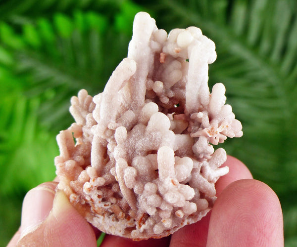 Amazing Aragonite Crystal, Raw Crystal, Natural Mineral, Healing Crystal, Mineral Specimen B3434