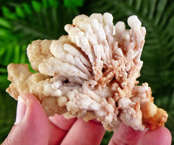 Amazing and Rare Aragonite Crystal, Raw Crystal, Natural Mineral, Healing Crystal, Mineral Specimen B3489