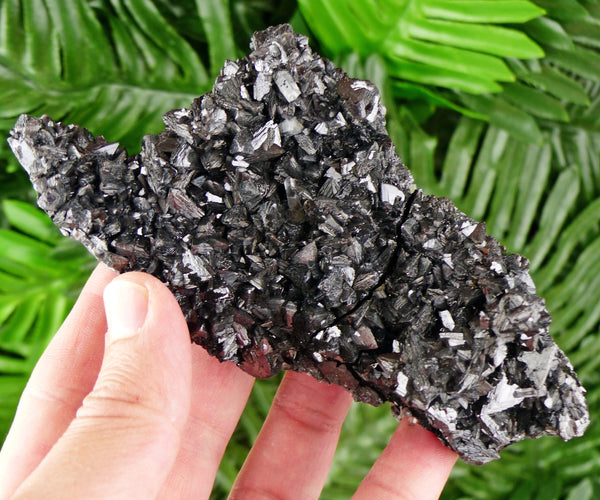 Amazing Black Sphalerite Tetrahedrons with Quartz, Raw Crystal, Natural Mineral, Healing Crystal, Mineral Specimen B3344