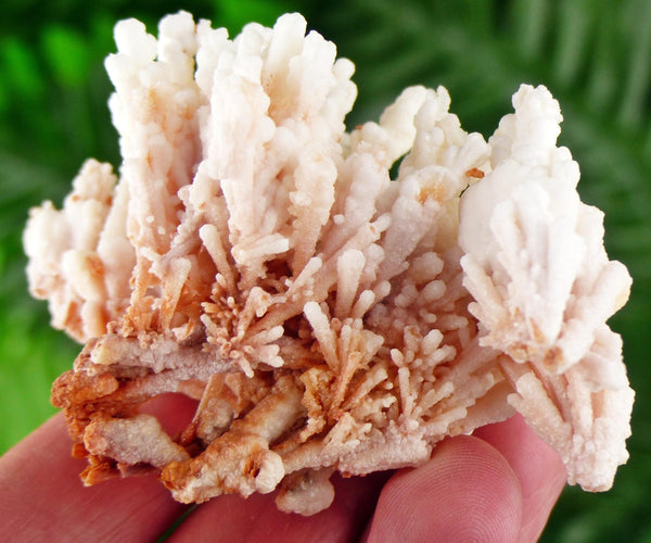 Amazing Aragonite Crystal, Raw Crystal, Natural Mineral, Healing Crystal, Mineral Specimen B3555