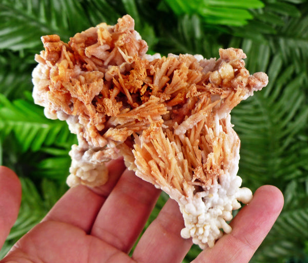 Amazing Aragonite Crystal, Raw Crystal, Natural Mineral, Healing Crystal, Mineral Specimen B3385