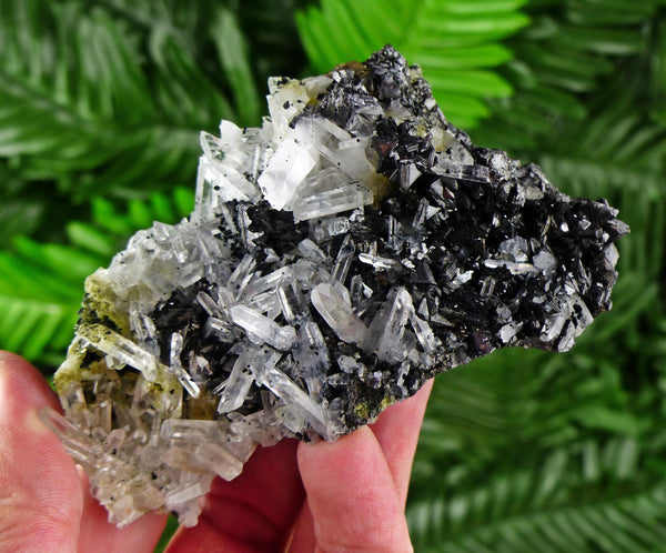 Amazing Sphalerite Tetrahedrons with Quartz, Raw Crystal, Natural Mineral, Spirituality Crystal, Mineral Specimen B3573