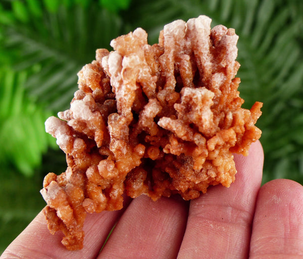 Amazing Aragonite Crystal, Raw Crystal, Natural Mineral, Healing Crystal, Mineral Specimen B3601