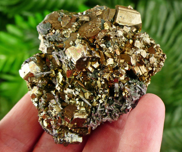 Amazing Pyrite with Quartz and Chlorite, Raw Crystal, Natural Mineral, Healing Crystal, Mineral Specimen B3397