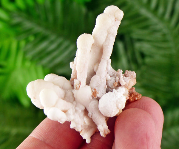 Amazing Aragonite Crystal, Raw Crystal, Natural Mineral, Healing Crystal, Mineral Specimen B3532