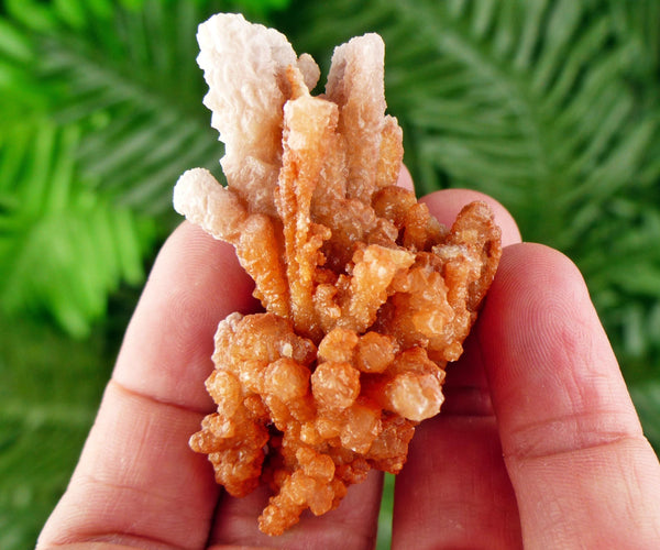 Amazing Aragonite Crystal, Raw Crystal, Natural Mineral, Healing Crystal, Mineral Specimen B3533