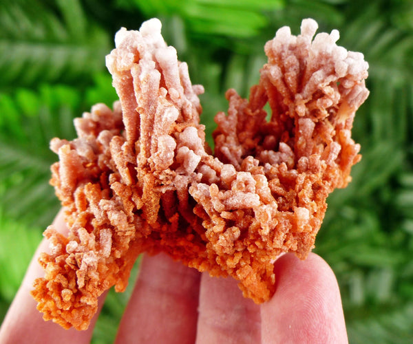 Rare Aragonite Crystal, Raw Crystal, Natural Mineral, Healing Crystal, Mineral Specimen B3507