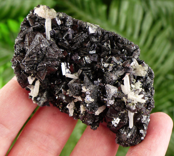 Rare Black Sphalerite Tetrahedrons with Quartz, Raw Crystal, Natural Mineral, Healing Crystal, Mineral Specimen B3445