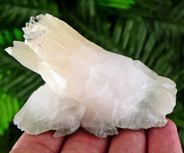 Amazing Calcite with Chlorite, Raw Crystal, Natural Mineral, Healing Crystal, Mineral Specimen B3417