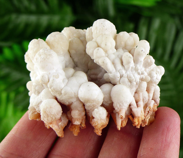 Amazing Aragonite Crystal, Raw Crystal, Natural Mineral, Healing Crystal, Mineral Specimen B3659