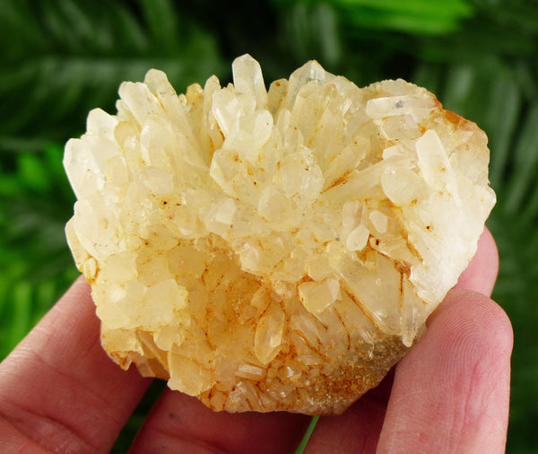 Amazing Quartz with Iron Oxide, Crystal, Mineral, Natural Crystal, Raw Crystals B3655