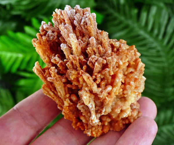 Amazing Aragonite Crystal, Raw Crystal, Natural Mineral, Healing Crystal, Mineral Specimen B3615