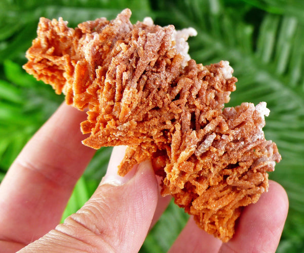 Amazing Aragonite Crystal, Raw Crystal, Natural Mineral, Healing Crystal, Mineral Specimen B3553