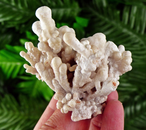 Amazing Aragonite Crystal, Raw Crystal, Natural Mineral, Healing Crystal, Mineral Specimen B3603