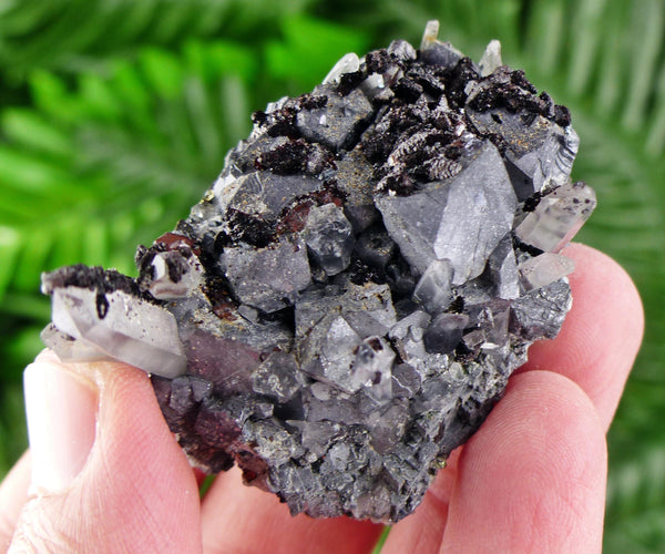 Amazing Galena with Quartz, Raw Crystal, Natural Mineral, Healing Crystal, Mineral Specimen B3681