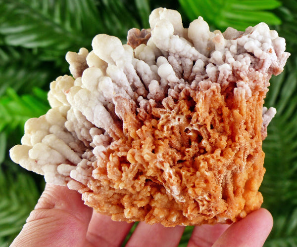 Amazing Aragonite Crystal, Raw Crystal, Natural Mineral, Healing Crystal, Mineral Specimen B3538