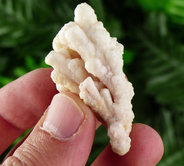 Amazing Aragonite Crystal, Raw Crystal, Natural Mineral, Healing Crystal, Mineral Specimen B3719