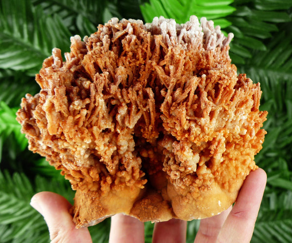 Museum Big Aragonite Crystal, Raw Crystal, Natural Mineral, Healing Crystal, Mineral Specimen