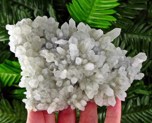 Amazing Quartz with Chlorite Crystal, Raw Crystal, Natural Mineral, Healing Crystal, Mineral Specimen B3517