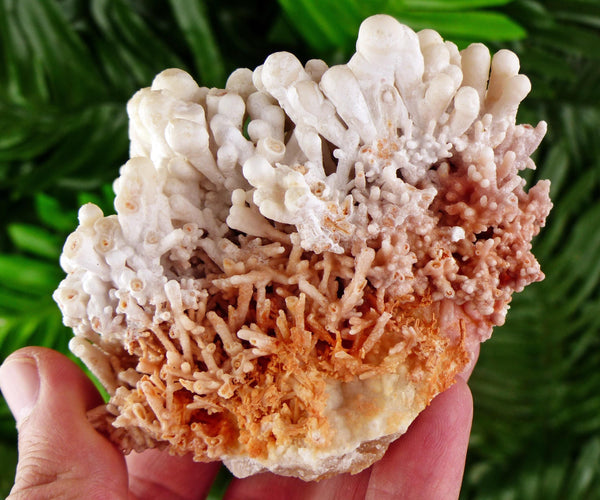 Amazing Aragonite Crystal, Raw Crystal, Natural Mineral, Healing Crystal, Mineral Specimen B3593