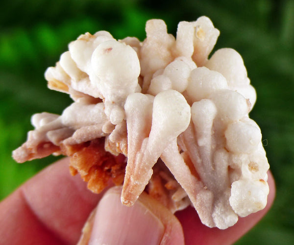 Amazing Aragonite Crystal, Raw Crystal, Natural Mineral, Healing Crystal, Mineral Specimen B3797