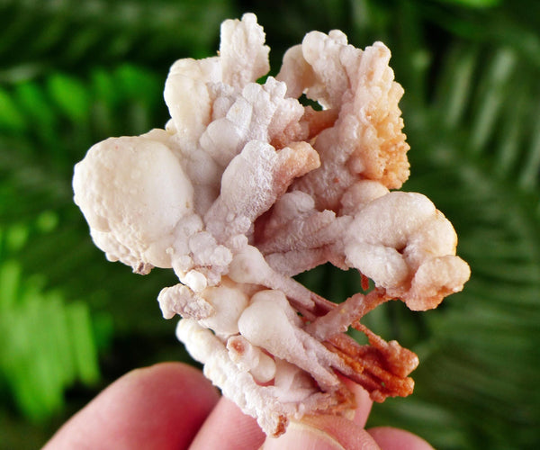 Amazing Aragonite Crystal, Raw Crystal, Natural Mineral, Healing Crystal, Mineral Specimen B3834