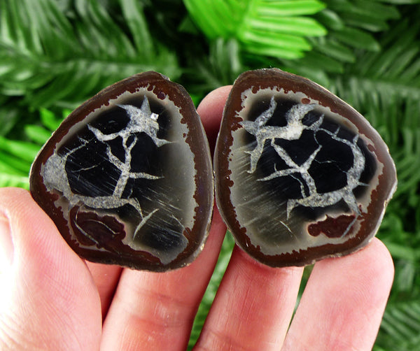 Dragonstones Pair, Septarian Nodule Geode, Septaria, Dragonstone, Aragonite, Septarian Nodules, Dragon Stone Healing Stone, Limestone B3677