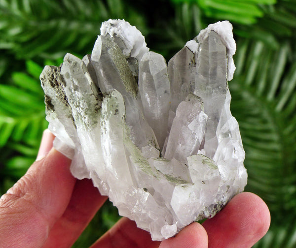 Amazing Quartz cover with Chlorite and White Calcite , Crystal, Mineral, Natural Crystal from Bulgaria B3913