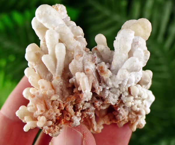 Amazing Aragonite Crystal, Raw Crystal, Natural Mineral, Healing Crystal, Mineral Specimen B3801