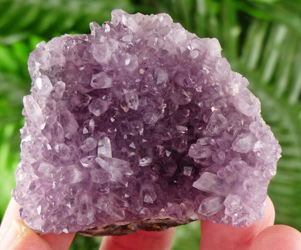 Amazing and Rare Amethyst Crystal on Sphalerite, Raw Crystal, Natural Mineral, Healing Crystal, Mineral Specimen B3842