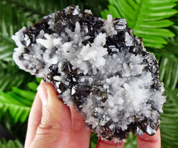 Amazing Milky Quartz Crystals with Sphalerite, Raw Crystal, Natural Mineral, Healing Crystal, Mineral Specimen B3844