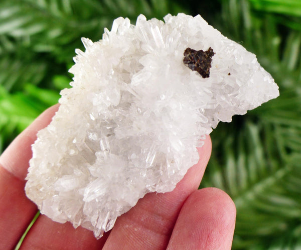 Amazing Clear Quartz with Sphalerite, Raw Crystal, Natural Mineral, Healing Crystal, Mineral Specimen B3851