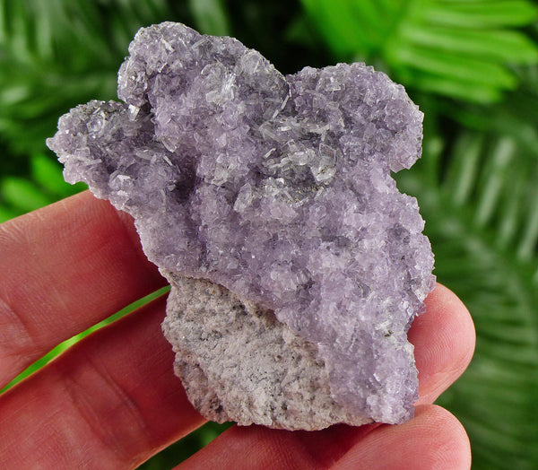 Rare Fluorite with Baryte, Raw Crystal, Natural Mineral, Healing Crystal, Mineral Specimen B3872