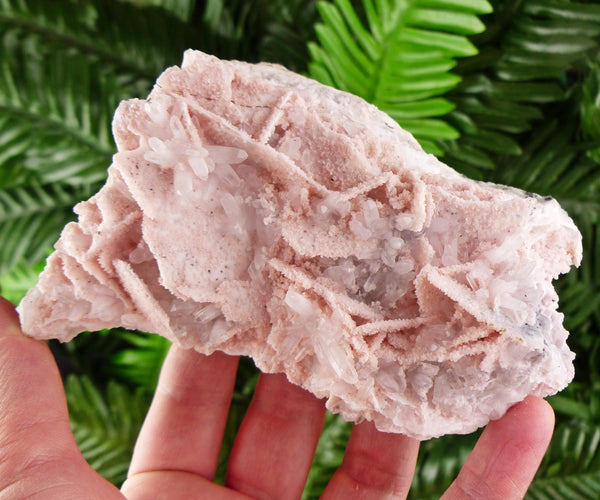 Museum Rare Rhodochrosite with Quartz, Raw Crystal, Natural Mineral, Healing Crystal, Mineral Specimen B3932