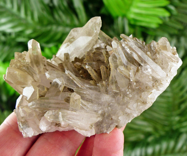 Amazing Clear Quartz with Chlorite, Raw Crystal, Natural Mineral, Healing Crystal, Mineral Specimen B3994