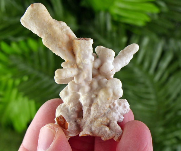 Rare Aragonite Crystal, Raw Crystal, Natural Mineral, Healing Crystal, Mineral Specimen B4119