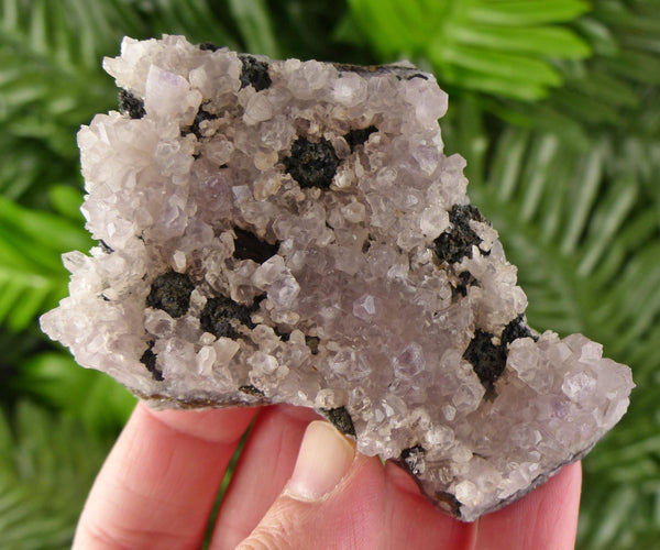 Amazing Amethyst from Bulgaria with Sphalerite, Raw Crystal, Natural Mineral, Healing Crystal, Mineral Specimen B4128