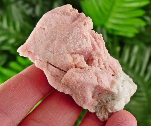 Amazing Rhodochrosite Crystal with Quartz, Raw Crystal, Natural Mineral, Healing Crystal, Mineral Specimen B4064