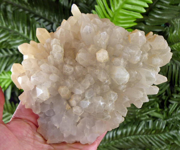 Amazing Quartz with Chlorite, Raw Crystal, Natural Mineral, Healing Crystal, Mineral Specimen B4159