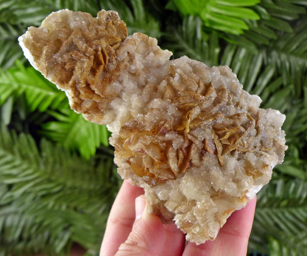 Amazing and Rare Brown Calcite, Raw Crystal, Natural Mineral, Healing Crystal, Mineral Specimen B4115