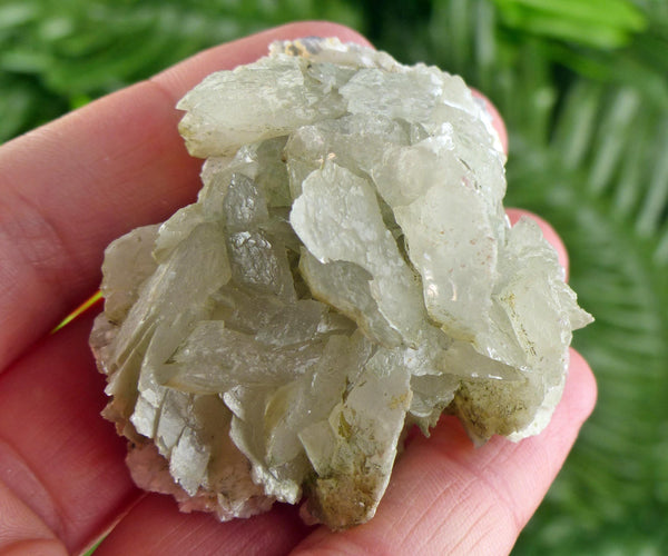 Amazing Calcite with Chlorite, Raw Crystal, Natural Mineral, Healing Crystal, Mineral Specimen B4124