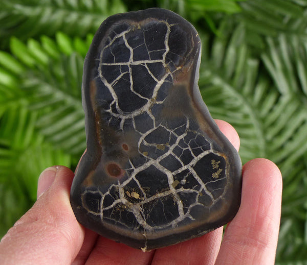 Septarian Nodule Geode, Big Septaria, Dragonstone, Aragonite, Septarian Nodules, Dragon Stone Healing Stone, Limestone B4362