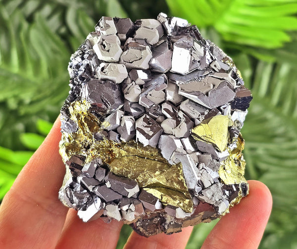 Amazing Galena with Chalcopyrite , Raw Crystal, Natural Mineral, Healing Crystal, Spirituality, Mineral Specimen B4039