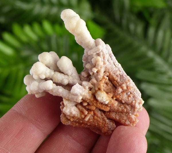 Amazing Aragonite Crystal, Raw Crystal, Natural Mineral, Healing Crystal, Mineral Specimen B4365